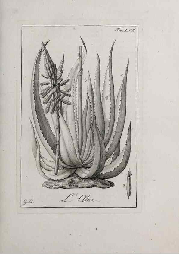 Reproducción/Reproduction 47281854561: Storia delle piante forastiere le più importanti nell'uso medico, od economico /. Milano :Nella stamperia di Giuseppe Marelli,1791-1794.. 