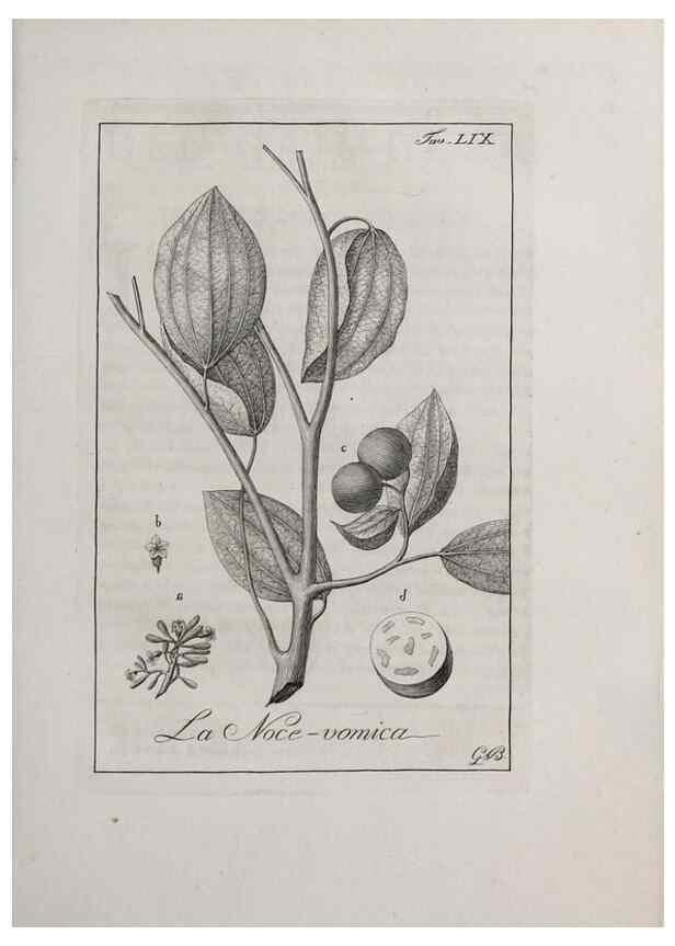 Reproducción/Reproduction 47281855761: Storia delle piante forastiere le più importanti nell'uso medico, od economico /. Milano :Nella stamperia di Giuseppe Marelli,1791-1794.. 