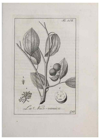 Reproducción/Reproduction 47281855761: Storia delle piante forastiere le più importanti nell'uso medico, od economico /. Milano :Nella stamperia di Giuseppe Marelli,1791-1794.. 