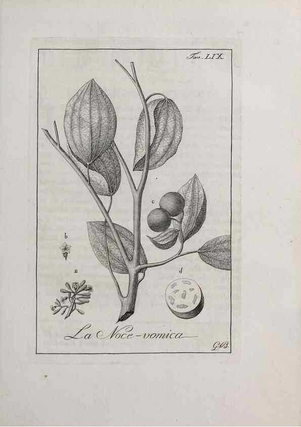 Reproducción/Reproduction 47281855761: Storia delle piante forastiere le più importanti nell'uso medico, od economico /. Milano :Nella stamperia di Giuseppe Marelli,1791-1794.. 