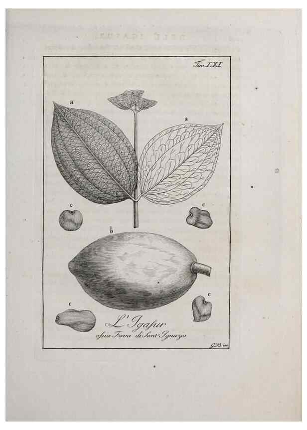 Reproducción/Reproduction 46558775774: Storia delle piante forastiere le più importanti nell'uso medico, od economico /. Milano :Nella stamperia di Giuseppe Marelli,1791-1794.. 