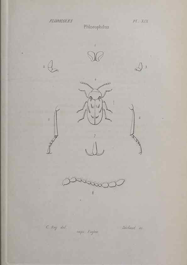 Reproducción/Reproduction 33406696808: Annales de la Société Linnéenne de Lyon.. Lyon :Société Linnéenne de Lyon.. 