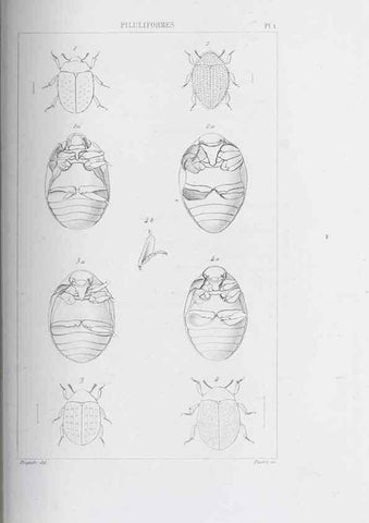 Reproducción/Reproduction 46367819925: Annales de la Société Linnéenne de Lyon.. Lyon :Société Linnéenne de Lyon.. 
