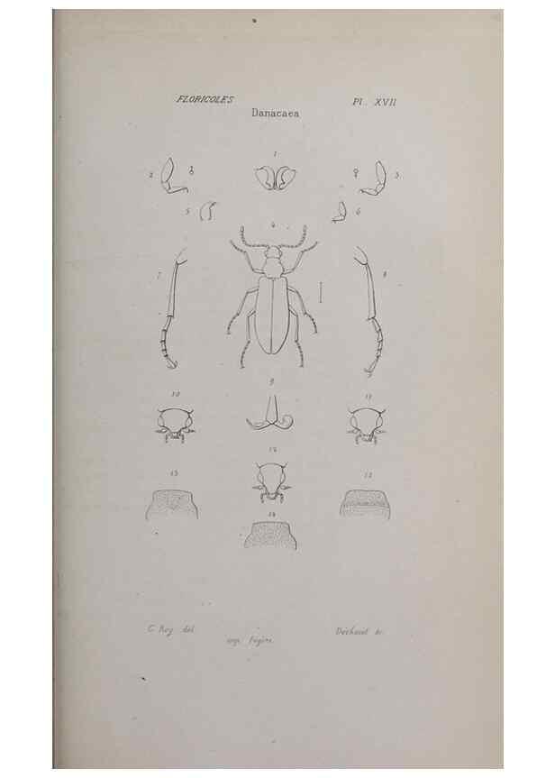 Reproducción/Reproduction 33406695138: Annales de la Société Linnéenne de Lyon.. Lyon :Société Linnéenne de Lyon.. 