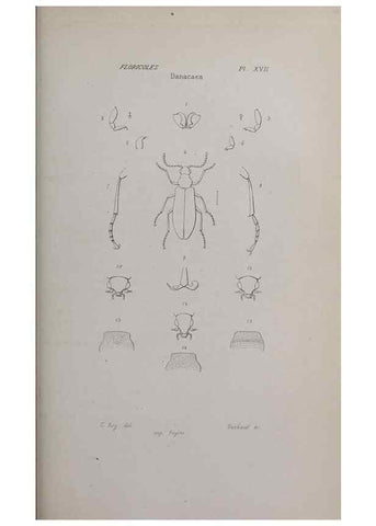Reproducción/Reproduction 33406695138: Annales de la Société Linnéenne de Lyon.. Lyon :Société Linnéenne de Lyon.. 