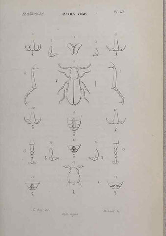 Reproducción/Reproduction 40317737633: Annales de la Société Linnéenne de Lyon.. Lyon :Société Linnéenne de Lyon.. 