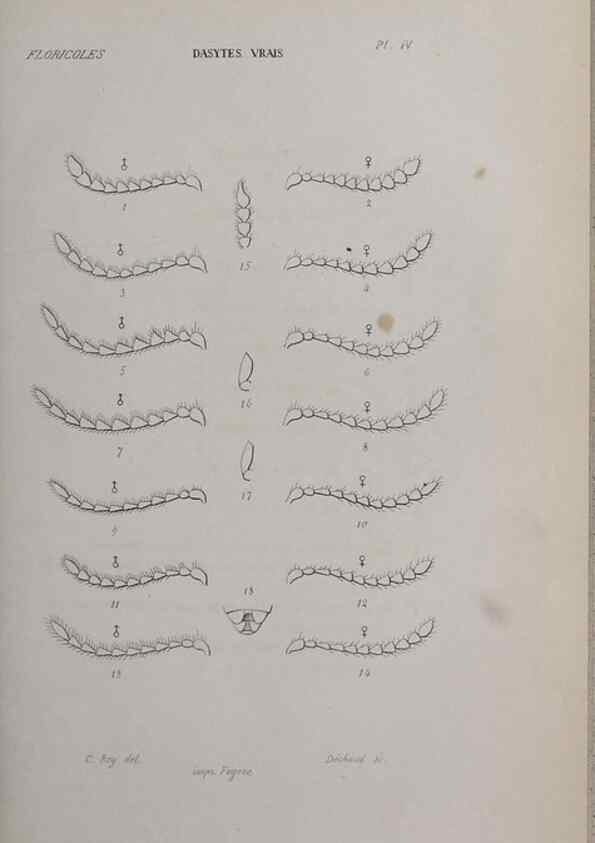 Reproducción/Reproduction 47282290911: Annales de la Société Linnéenne de Lyon.. Lyon :Société Linnéenne de Lyon.. 