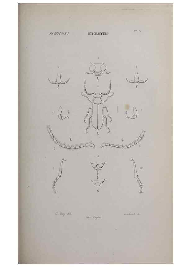 Reproducción/Reproduction 46559165494: Annales de la Société Linnéenne de Lyon.. Lyon :Société Linnéenne de Lyon.. 