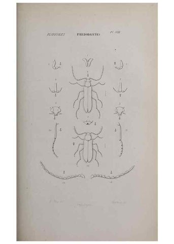 Reproducción/Reproduction 33406687898: Annales de la Société Linnéenne de Lyon.. Lyon :Société Linnéenne de Lyon.. 