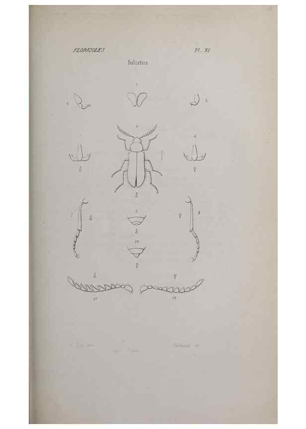 Reproducción/Reproduction 33406689968: Annales de la Société Linnéenne de Lyon.. Lyon :Société Linnéenne de Lyon.. 