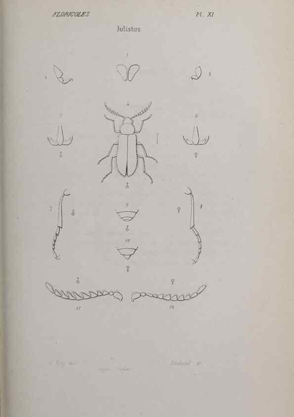 Reproducción/Reproduction 33406689968: Annales de la Société Linnéenne de Lyon.. Lyon :Société Linnéenne de Lyon.. 