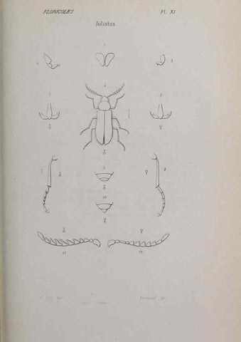 Reproducción/Reproduction 33406689968: Annales de la Société Linnéenne de Lyon.. Lyon :Société Linnéenne de Lyon.. 