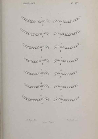 Reproducción/Reproduction 46559169704: Annales de la Société Linnéenne de Lyon.. Lyon :Société Linnéenne de Lyon.. 