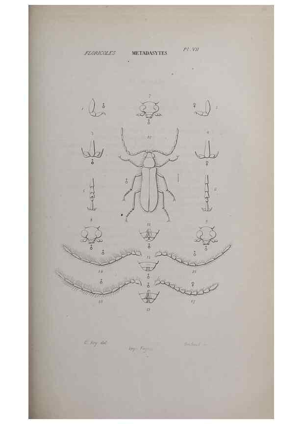 Reproducción/Reproduction 47230285322: Annales de la Société Linnéenne de Lyon.. Lyon :Société Linnéenne de Lyon.. 