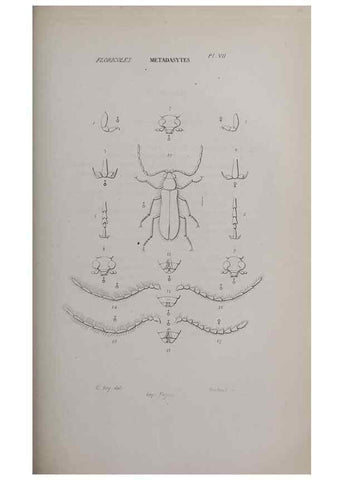 Reproducción/Reproduction 47230285322: Annales de la Société Linnéenne de Lyon.. Lyon :Société Linnéenne de Lyon.. 