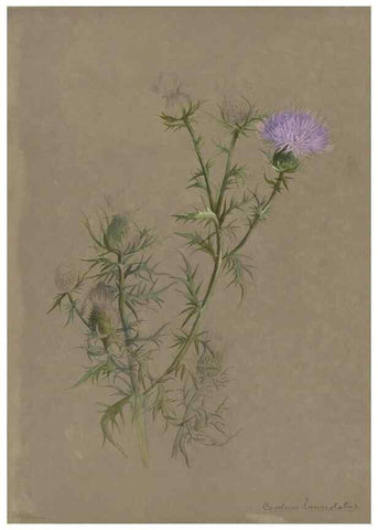 Reproducción/Reproduction 47965091378: Deborah Griscom Passmore watercolor album.. [ca. 1911]. 