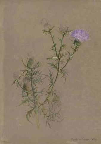 Reproducción/Reproduction 47965091378: Deborah Griscom Passmore watercolor album.. [ca. 1911]. 