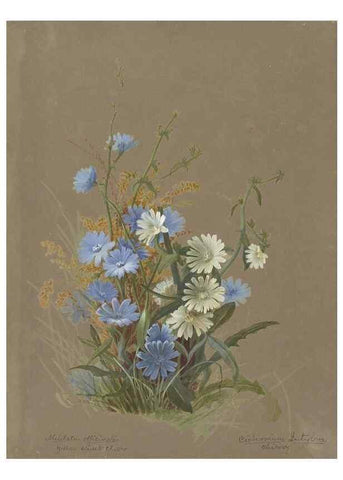Reproducción/Reproduction 47965123496: Deborah Griscom Passmore watercolor album.. [ca. 1911]. 
