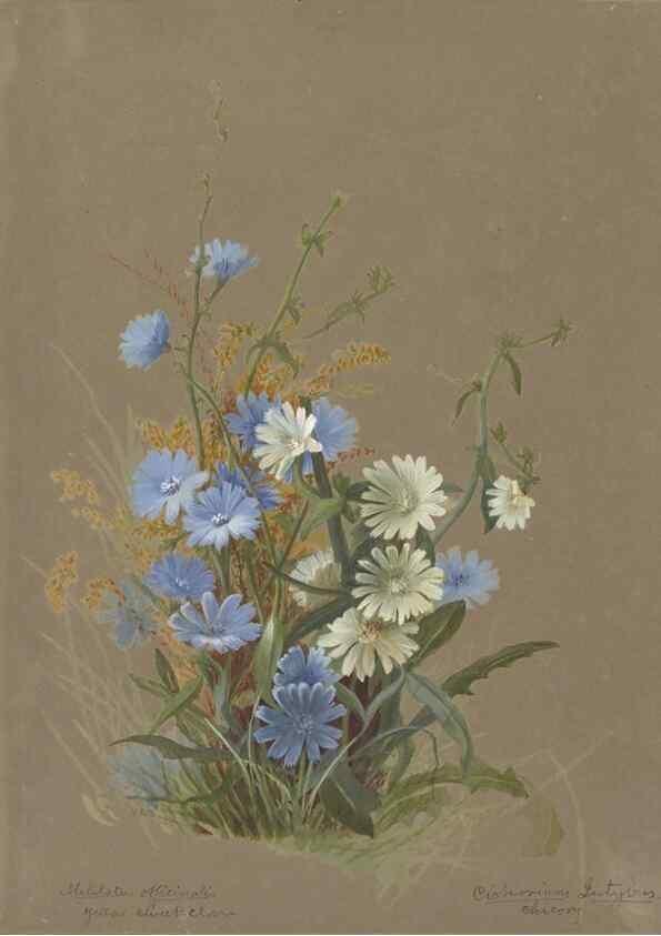 Reproducción/Reproduction 47965123496: Deborah Griscom Passmore watercolor album.. [ca. 1911]. 