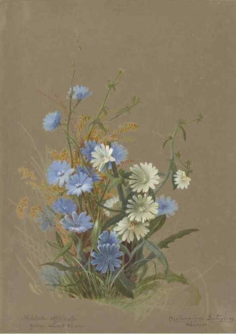 Reproducción/Reproduction 47965123496: Deborah Griscom Passmore watercolor album.. [ca. 1911]. 