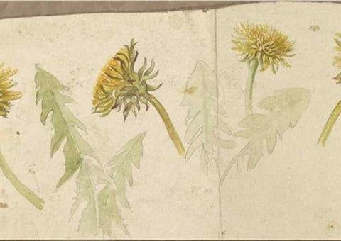Reproducción/Reproduction 47965067217: Deborah Griscom Passmore watercolor album.. [ca. 1911]. 