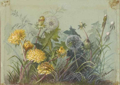 Reproducción/Reproduction 47965124096: Deborah Griscom Passmore watercolor album.. [ca. 1911]. 