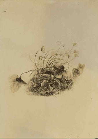 Reproducción/Reproduction 47965093098: Deborah Griscom Passmore watercolor album.. [ca. 1911]. 