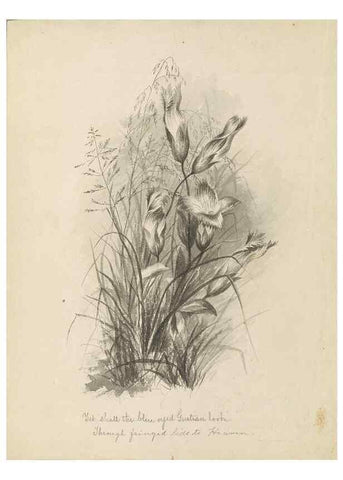 Reproducción/Reproduction 47965068657: Deborah Griscom Passmore watercolor album.. [ca. 1911]. 