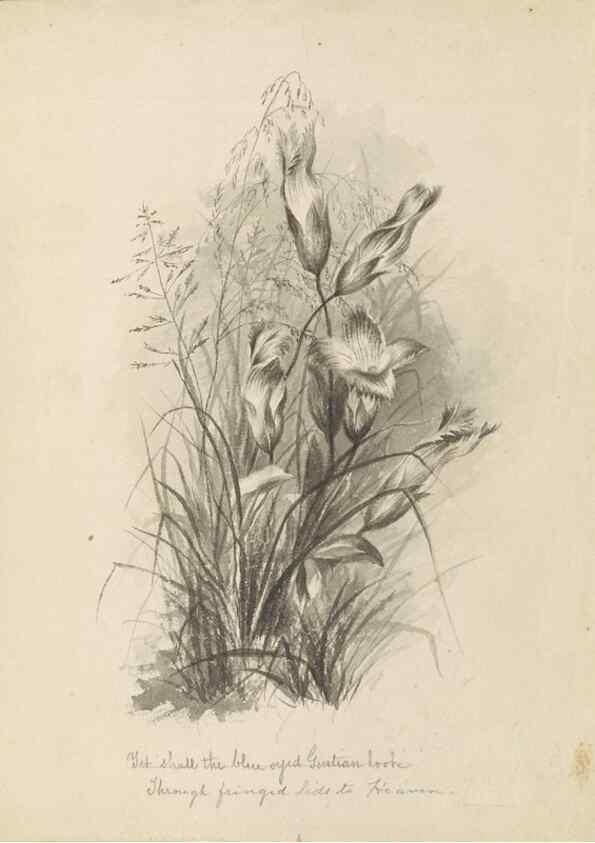 Reproducción/Reproduction 47965068657: Deborah Griscom Passmore watercolor album.. [ca. 1911]. 