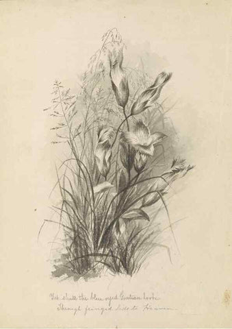 Reproducción/Reproduction 47965068657: Deborah Griscom Passmore watercolor album.. [ca. 1911]. 