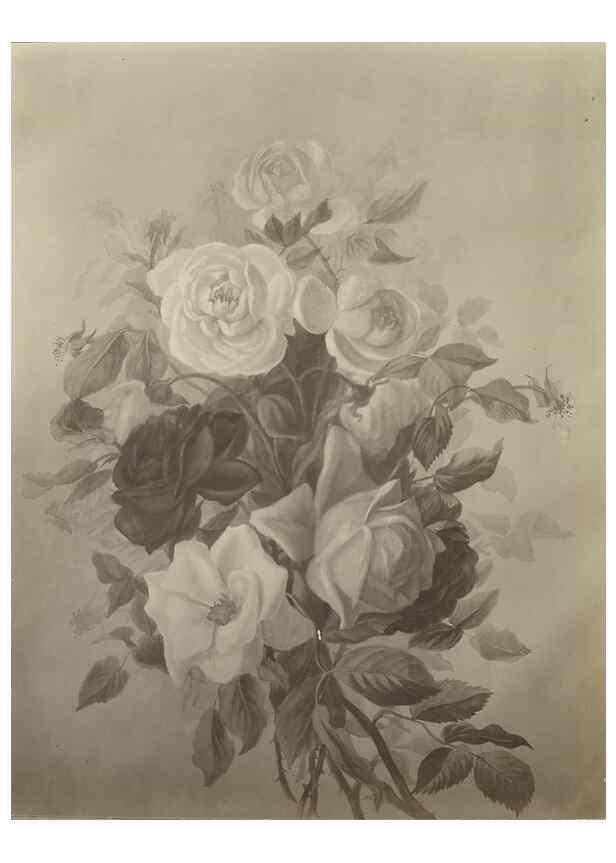 Reproducción/Reproduction 47965069497: Deborah Griscom Passmore watercolor album.. [ca. 1911]. 