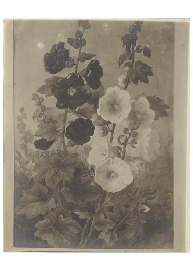 Reproducción/Reproduction 47965094743: Deborah Griscom Passmore watercolor album.. [ca. 1911]. 