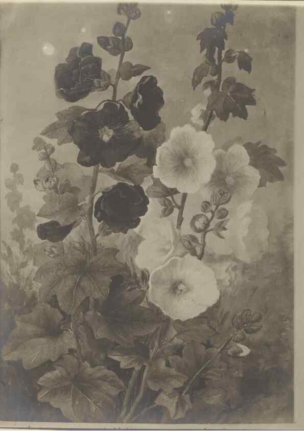 Reproducción/Reproduction 47965094743: Deborah Griscom Passmore watercolor album.. [ca. 1911]. 