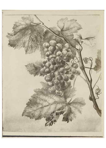 Reproducción/Reproduction 47965070277: Deborah Griscom Passmore watercolor album.. [ca. 1911]. 