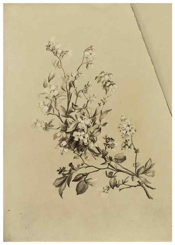 Reproducción/Reproduction 47965127351: Deborah Griscom Passmore watercolor album.. [ca. 1911]. 