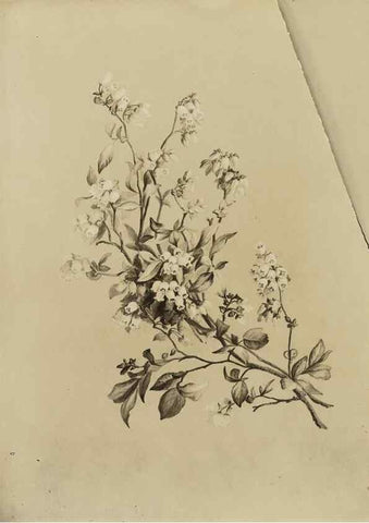 Reproducción/Reproduction 47965127351: Deborah Griscom Passmore watercolor album.. [ca. 1911]. 