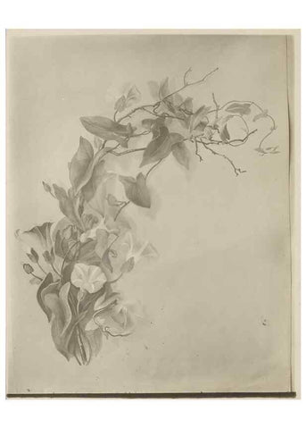 Reproducción/Reproduction 47965095848: Deborah Griscom Passmore watercolor album.. [ca. 1911]. 