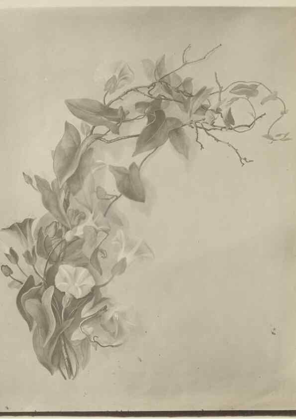 Reproducción/Reproduction 47965095848: Deborah Griscom Passmore watercolor album.. [ca. 1911]. 