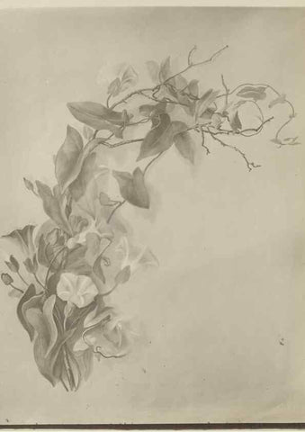 Reproducción/Reproduction 47965095848: Deborah Griscom Passmore watercolor album.. [ca. 1911]. 