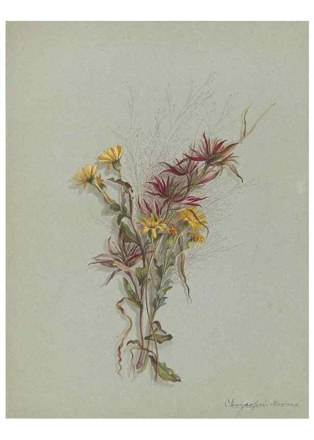 Reproducción/Reproduction 47965122076: Deborah Griscom Passmore watercolor album.. [ca. 1911]. 