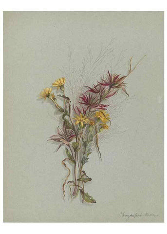 Reproducción/Reproduction 47965122076: Deborah Griscom Passmore watercolor album.. [ca. 1911]. 
