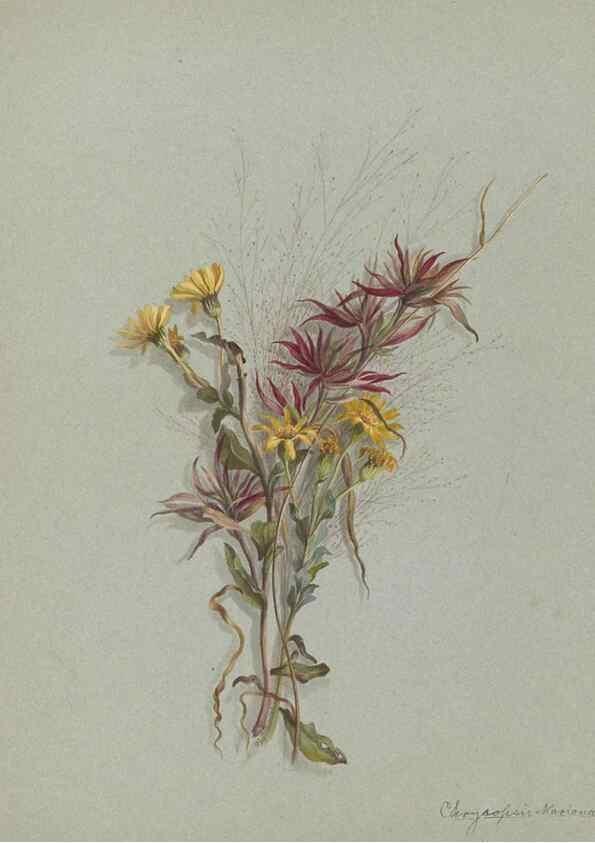 Reproducción/Reproduction 47965122076: Deborah Griscom Passmore watercolor album.. [ca. 1911]. 