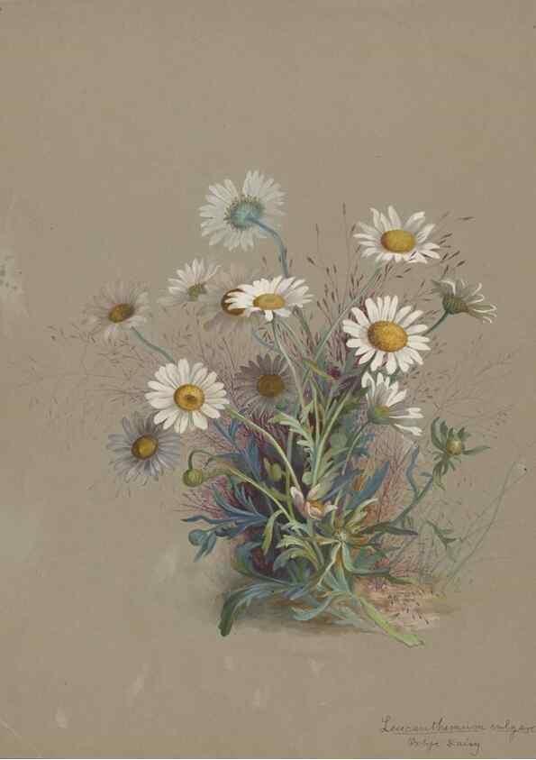 Reproducción/Reproduction 47965064837: Deborah Griscom Passmore watercolor album.. [ca. 1911]. 