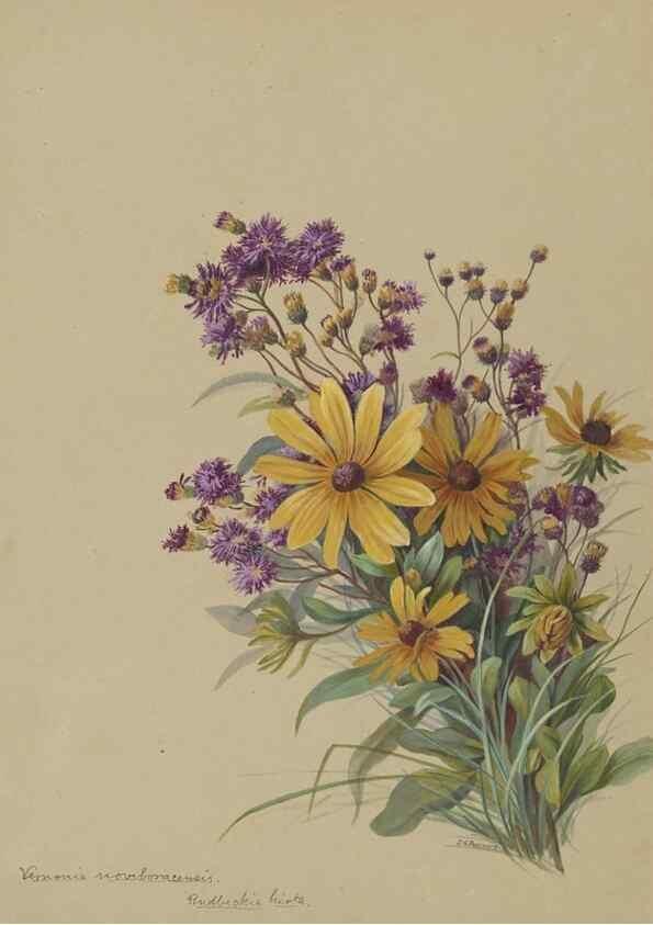 Reproducción/Reproduction 47965120971: Deborah Griscom Passmore watercolor album.. [ca. 1911]. 