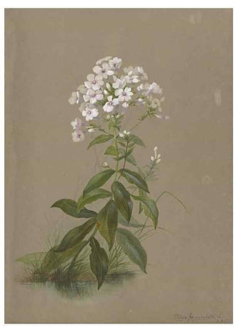 Reproducción/Reproduction 47965115071: Deborah Griscom Passmore watercolor album.. [ca. 1911]. 