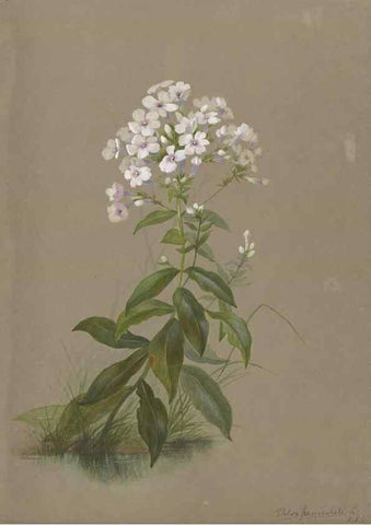 Reproducción/Reproduction 47965115071: Deborah Griscom Passmore watercolor album.. [ca. 1911]. 