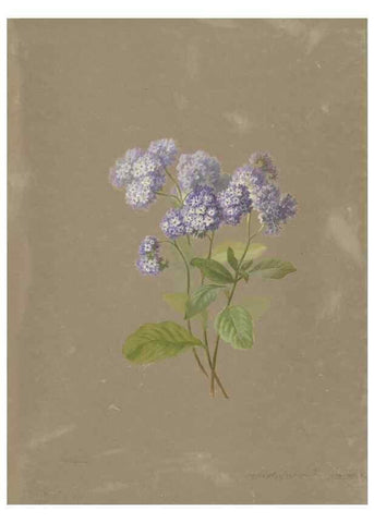 Reproducción/Reproduction 47965115446: Deborah Griscom Passmore watercolor album.. [ca. 1911]. 