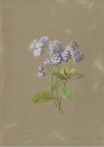 Reproducción/Reproduction 47965115446: Deborah Griscom Passmore watercolor album.. [ca. 1911]. 