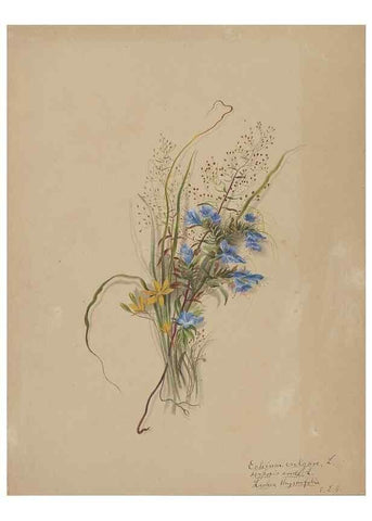 Reproducción/Reproduction 47965115736: Deborah Griscom Passmore watercolor album.. [ca. 1911]. 