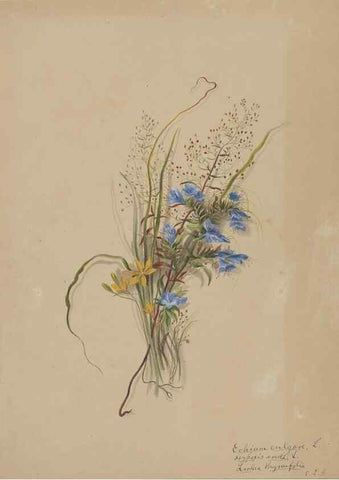 Reproducción/Reproduction 47965115736: Deborah Griscom Passmore watercolor album.. [ca. 1911]. 